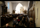 Koncert - M. Brdek