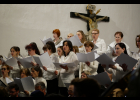 Koncert - M. Brdek