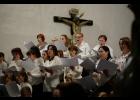 Koncert - M. Brdek