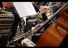 Koncert - M. Brdek