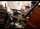 Koncert - M. Brdek