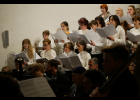 Koncert - M. Brdek